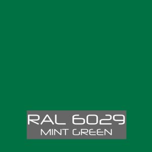 Порошковая краска RAL 6029
